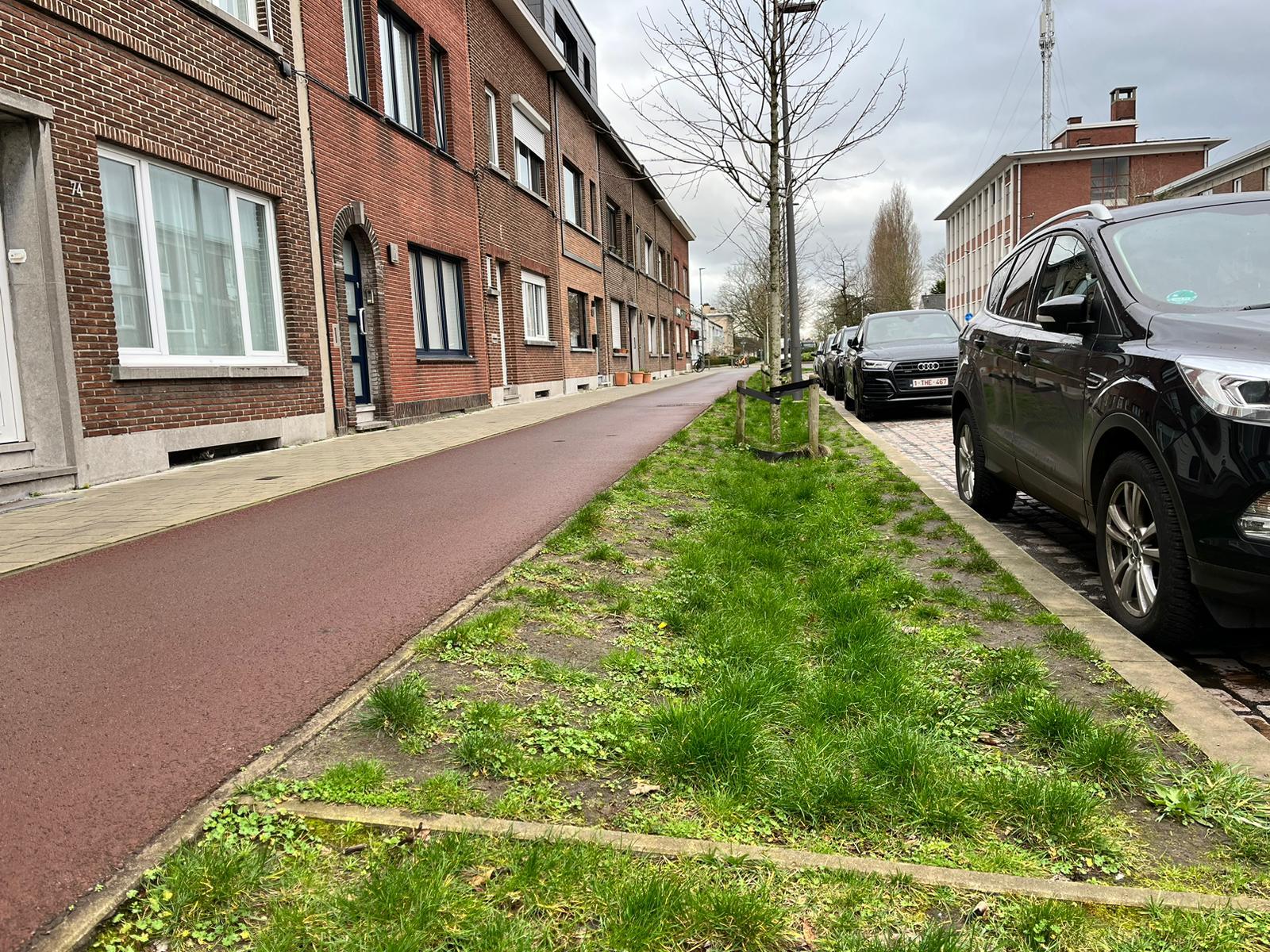 Voorbeeld van een regentuin in de Valaardreef.